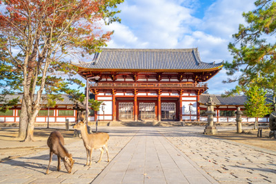 JAPAN I Nara Todaiji