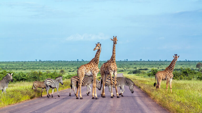 SOUTH AFRICA