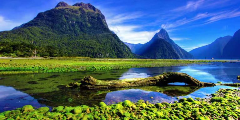 AUSTRALIA & NEW ZEALAND