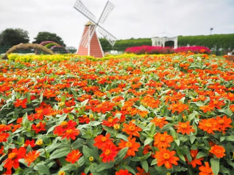 bridges-and-beyond-travel-taiwan (4)