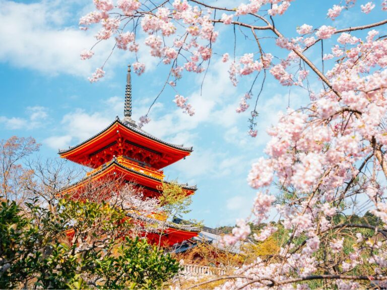 japan-heritage-bridges-and-beyond-travel