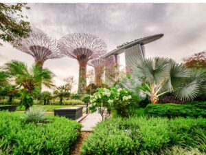gardens-by-the-bay-singapore-bridges-and-beyond-travel