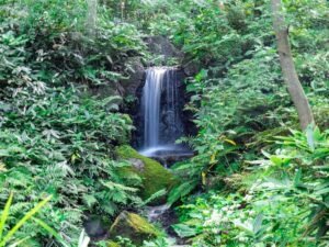 sankeien-garden-japan-bridges-and-beyond-travel