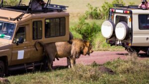 Africa I Bridges and Beyond Travel 3