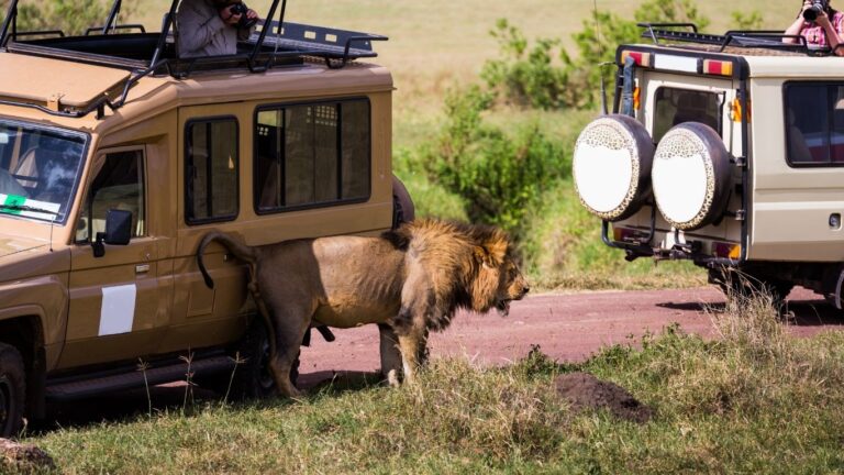 Africa I Bridges and Beyond Travel 3