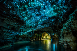 Waitomo Glowworm Caves, New Zealand