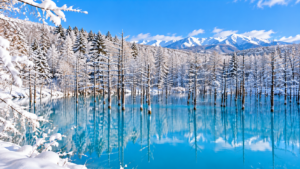 Blue Pond, Biei, Hokkaido, Japan
