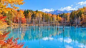 Blue Pond, Biei, Hokkaido, Japan